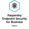 ASecurity for Business1